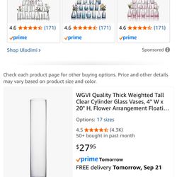 Glass Vase 20 Inches Tall