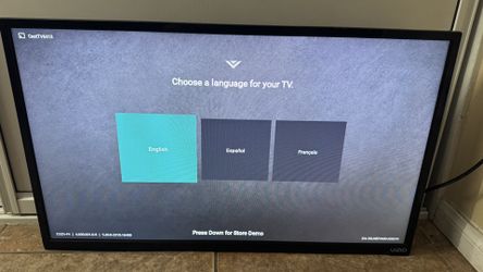 32 In Smart Tv With Mount
