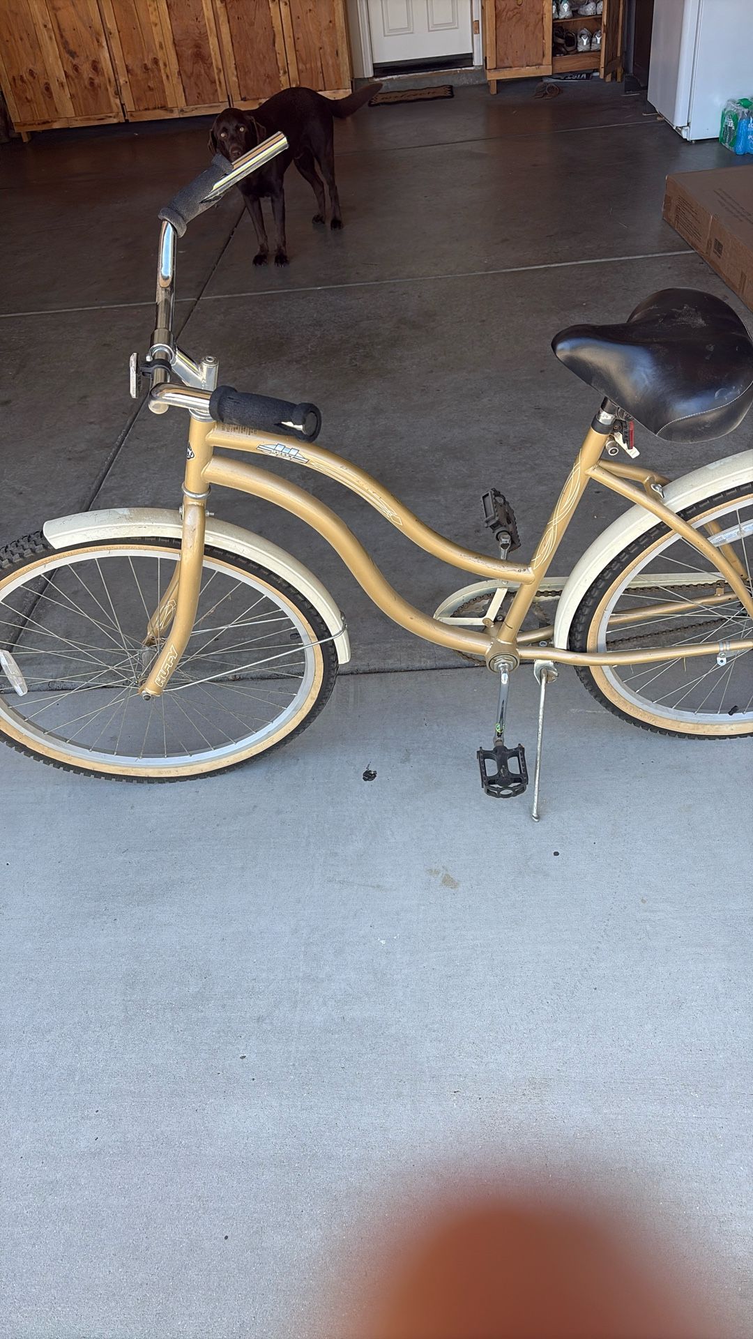 Beach Cruiser
