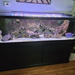120gal Tank with Stand