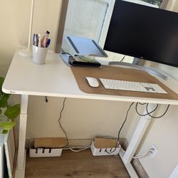Standing Desk
