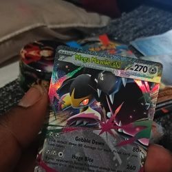 For My Pokemon Collectors