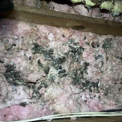Attic clean up & Insulation