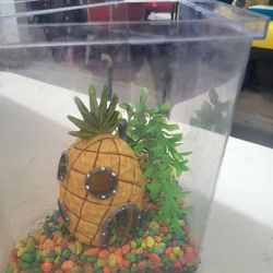 Aquarium 