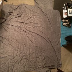 Couch Cover For Pets