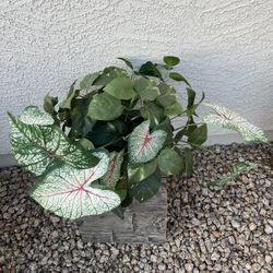 Artificial Plant In Pot
