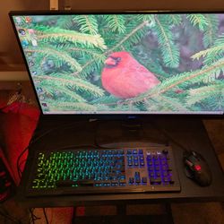 Desktop Gaming Computer 