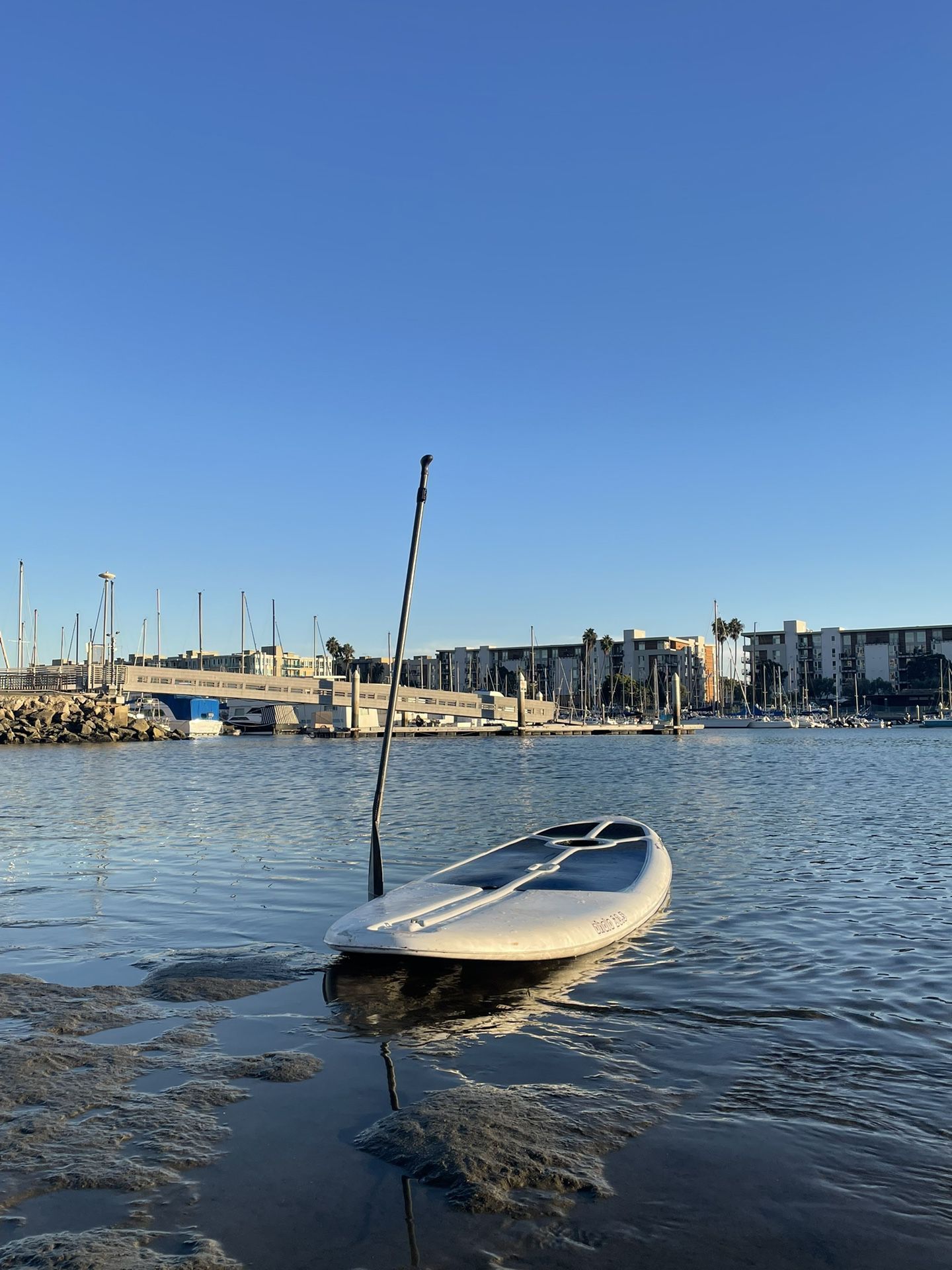 ahala 10.5 foot paddle board for Sale in Los Angeles, CA - OfferUp