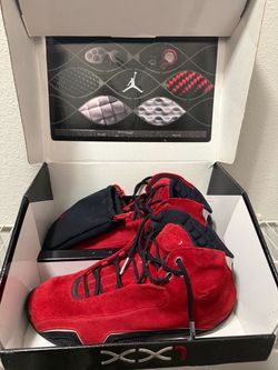 Jordan 21 red suede