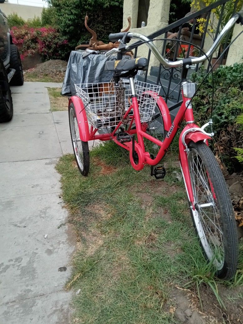 Veldo Adult Tricicle