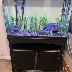 55 gallon fish tank and stand