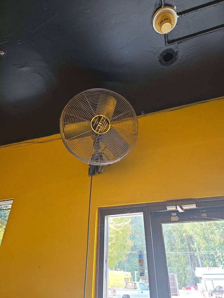 Fan