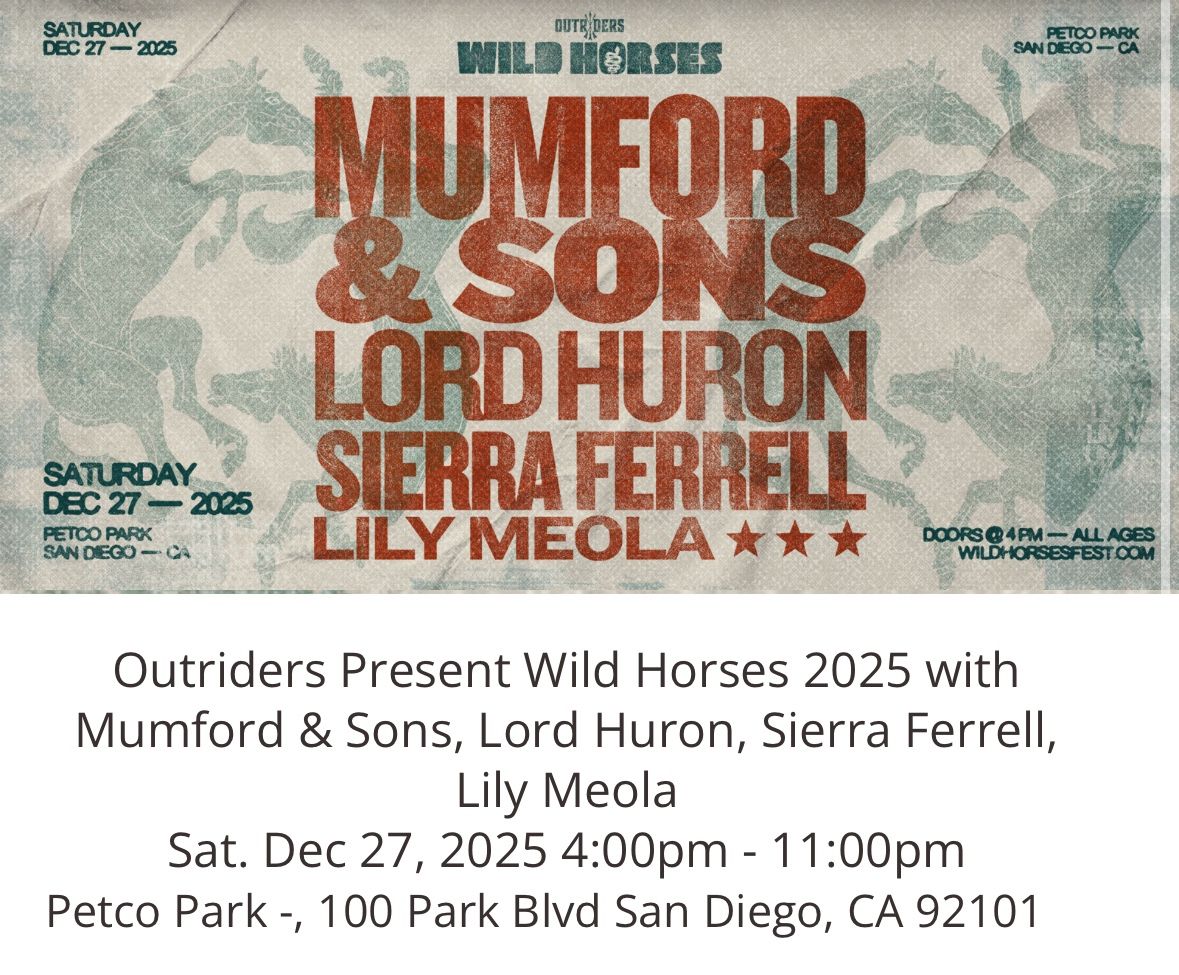 4 Tickets Mumford Sons Wild Horses 