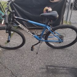 Nishiki Pueblo 16" 