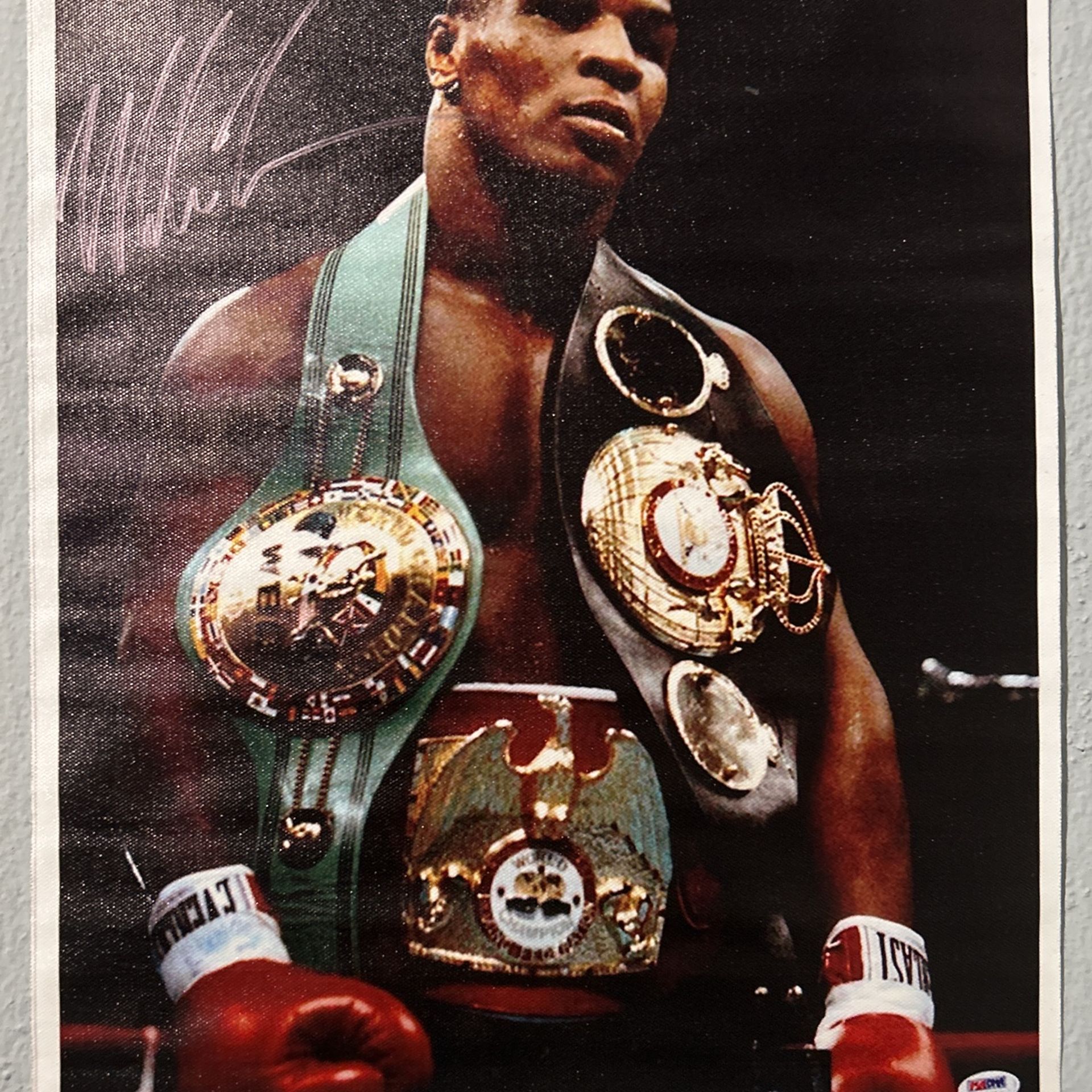 Mike Tyson Picture