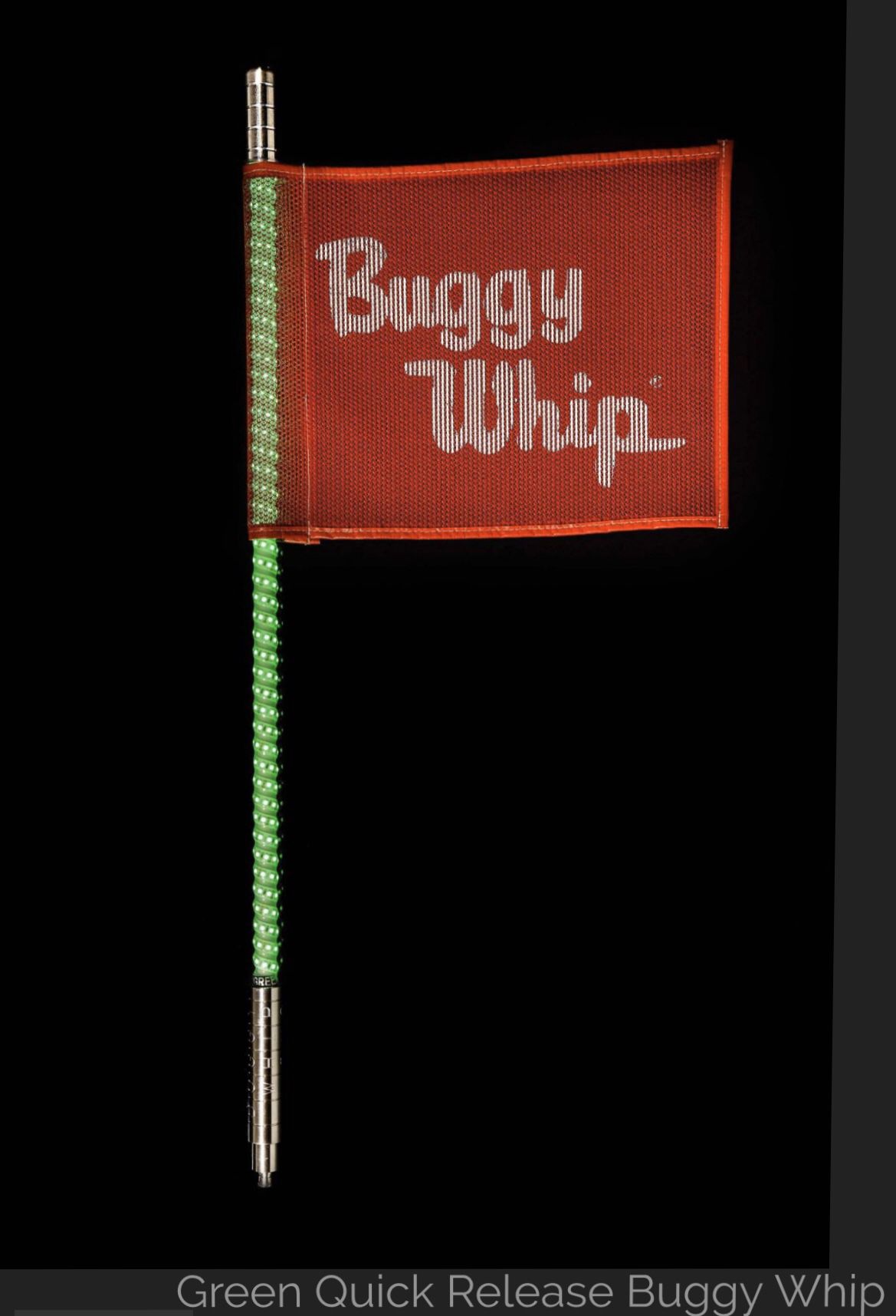 Buggy Whip