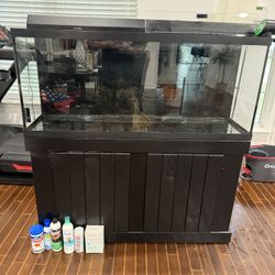 55 Gallon Fish Tank