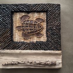 Wood Turtle Photo Album 