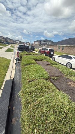 At Augustine sod