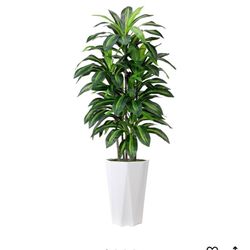 Artificial Dracaena Plant Indoor 5FT Fake Tree with White Diamond Planter Faux Yucca Tall Fake Floor