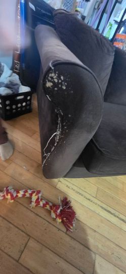Free couch
