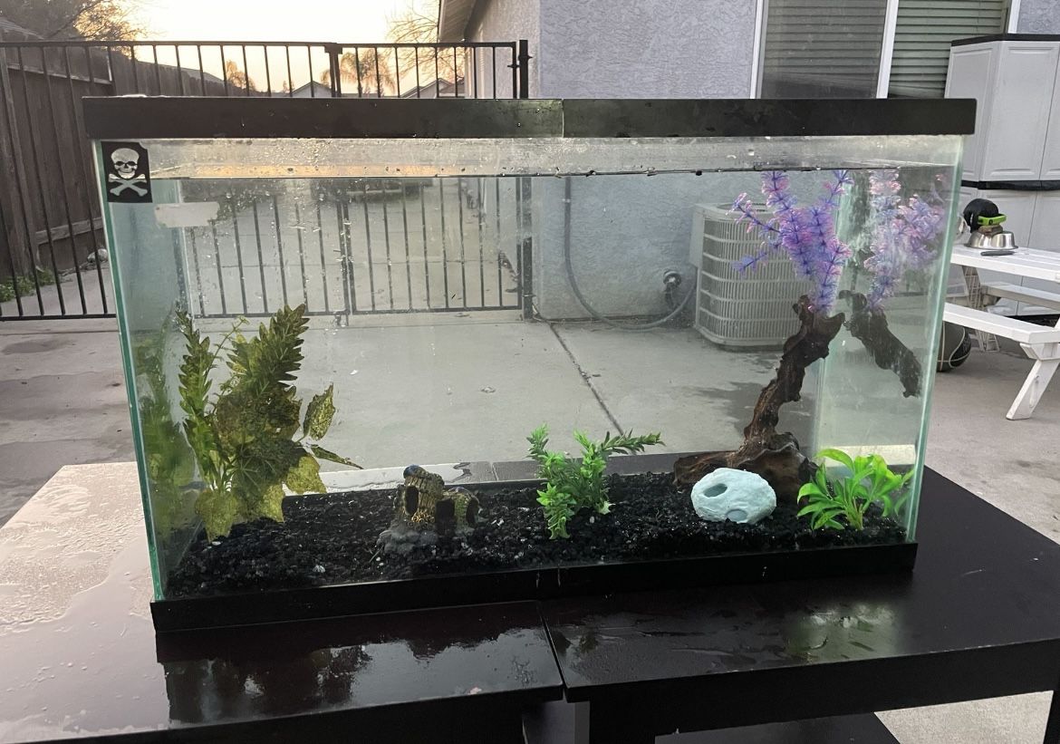 28 Gallon Aquarium $30 Fish Tank 