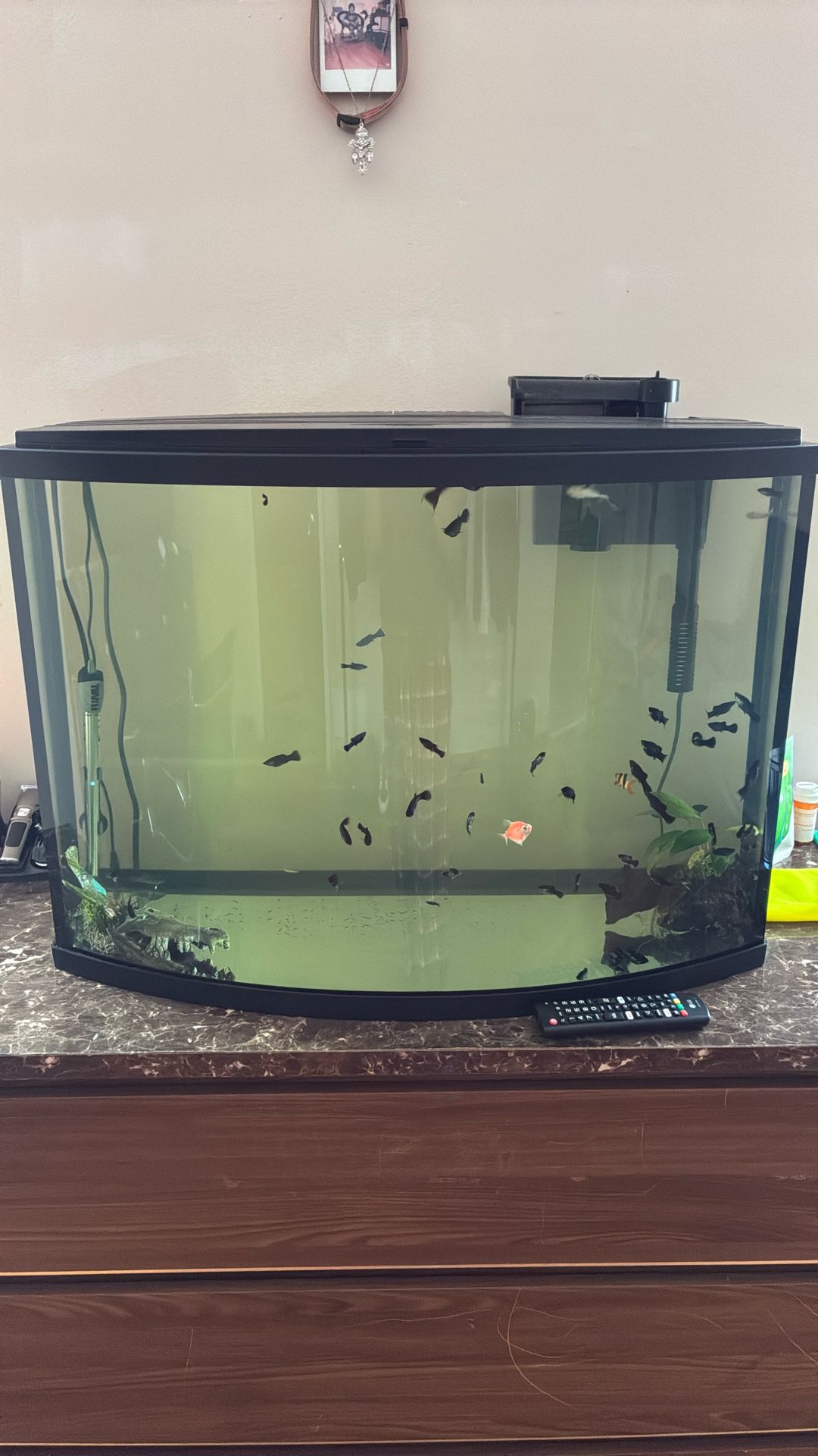 Fish Tank