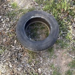 Tire 15    205/65