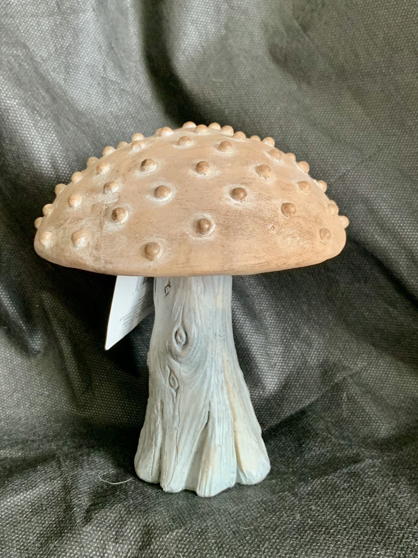 Mushroom!