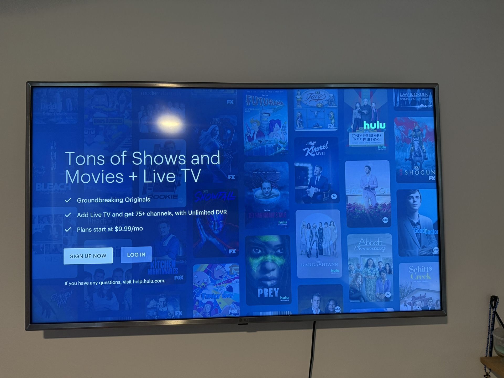 TV