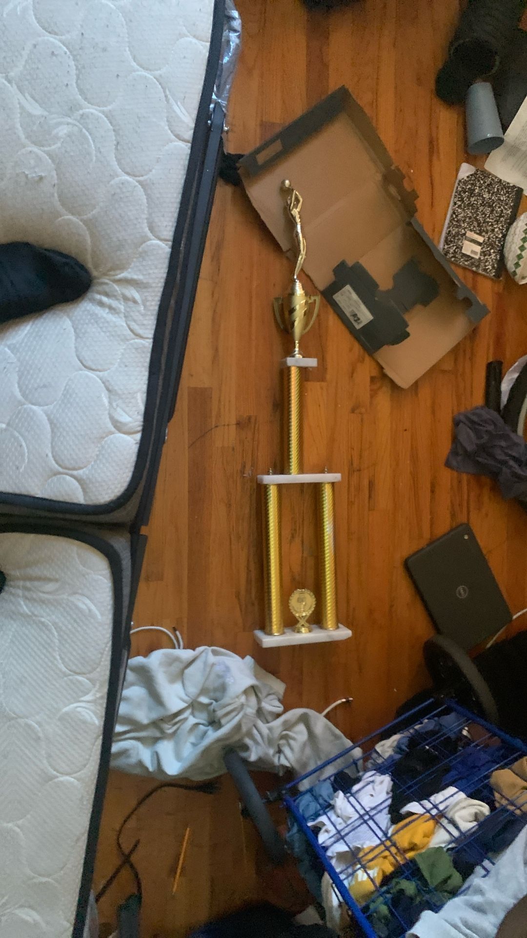Trophy 