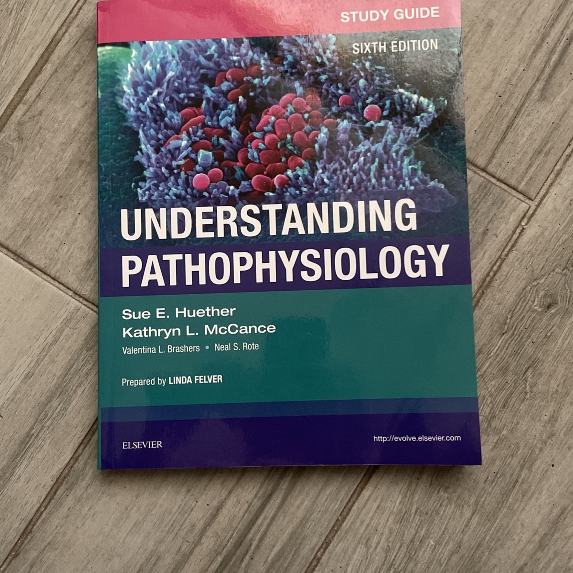 Understanding Pathophysiology Study guide