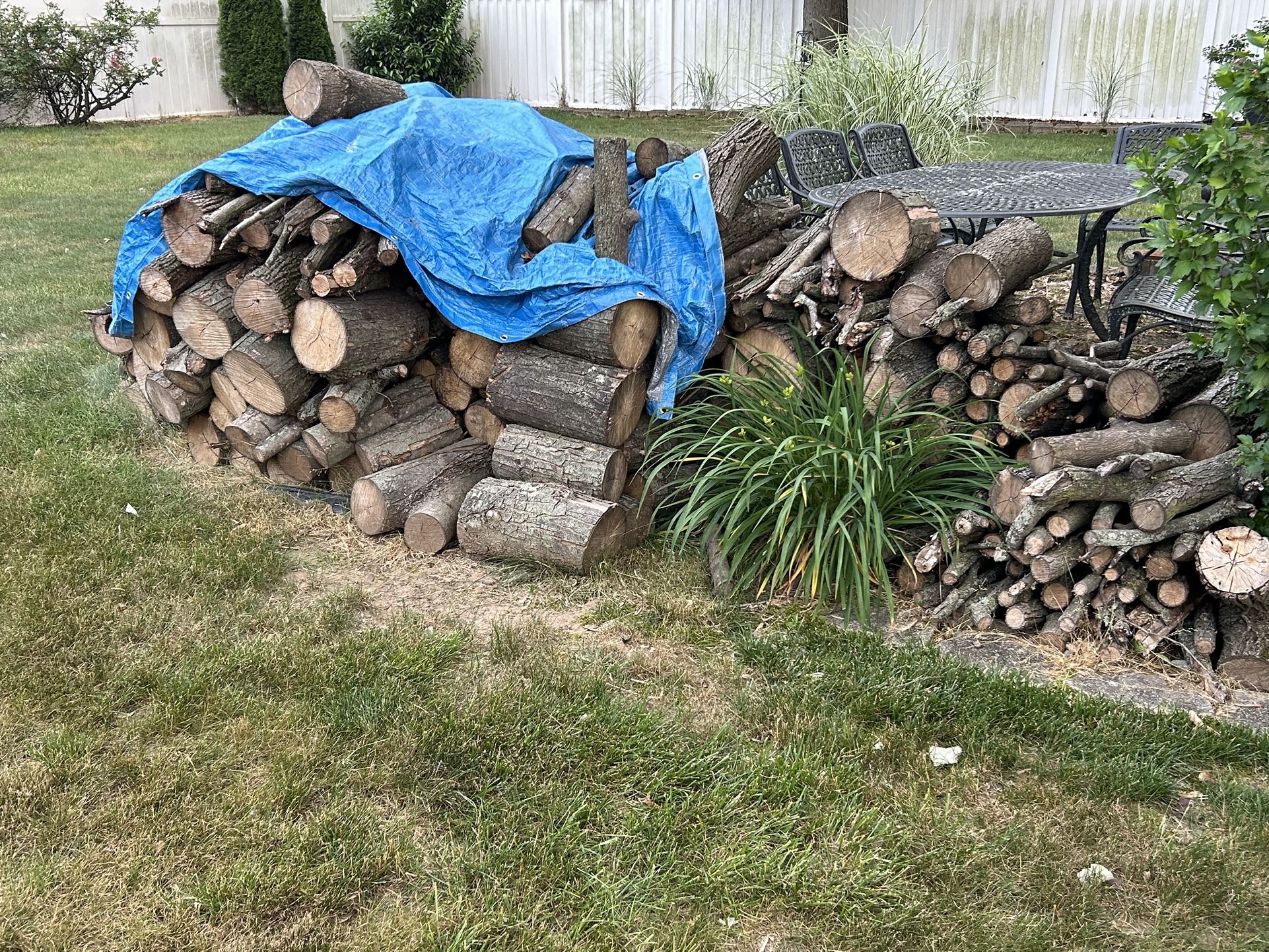 Firewood
