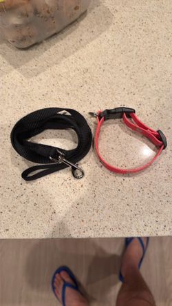 Dog Collar/Leash