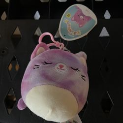 Caeli The Cat Squishmallow Clip 