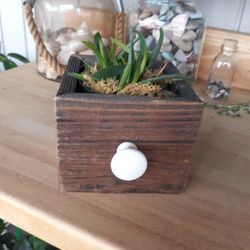 Handmade Wooden Box with Plant