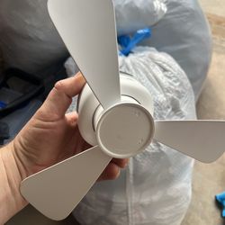 Fan and light portable