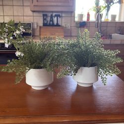 Plant Fake 