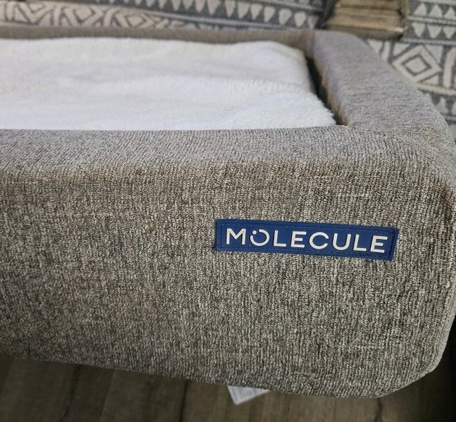 MOLECULE - ORTHOPEDIC 2XL WASHABLE DOG BED