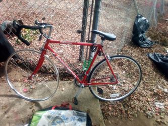 Vintage Diamondback Momentum 