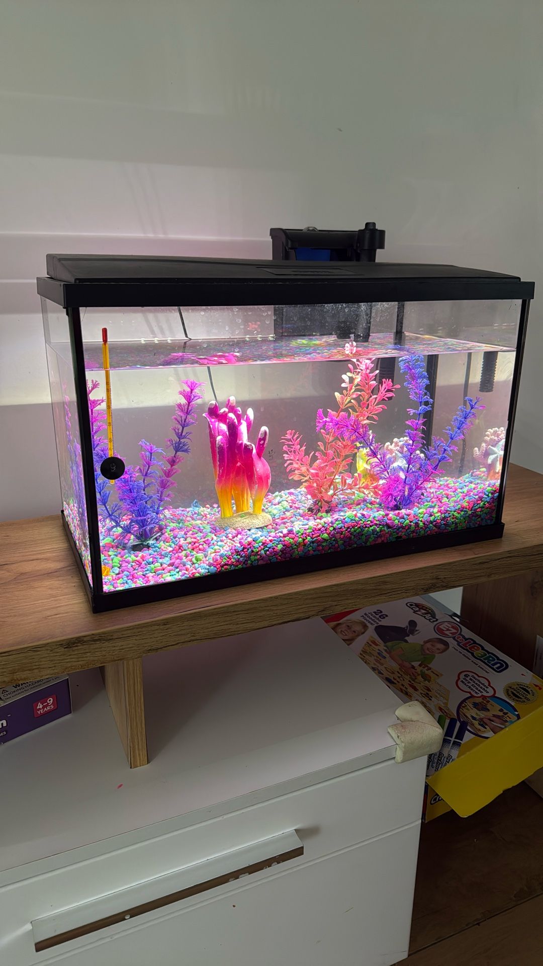 Fish tank / pecera