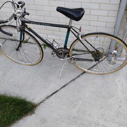 1987 Schwinn World Sport