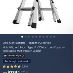 Lttle giant ladder