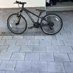 Batch Kids Mountain Bike