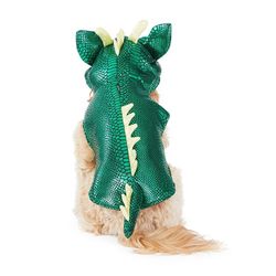 Dog Costume (Dragon)