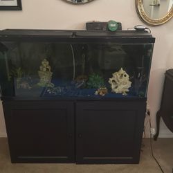 Fish Tank