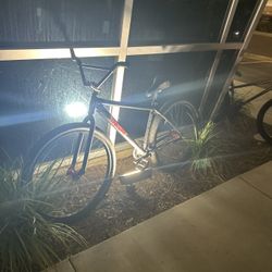 Throne 29er red rose