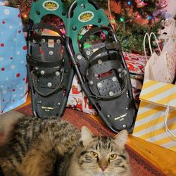 Cabelas Alaskan Outfitter Snowshoes 8×21