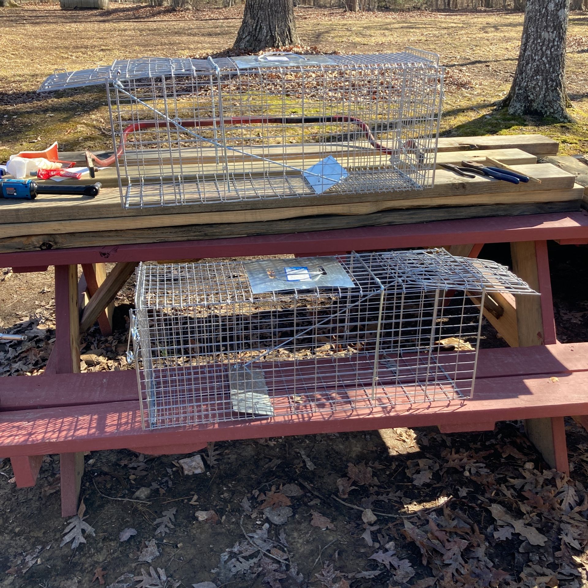 Medium animal Traps