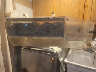 Fish Tank Sumps
